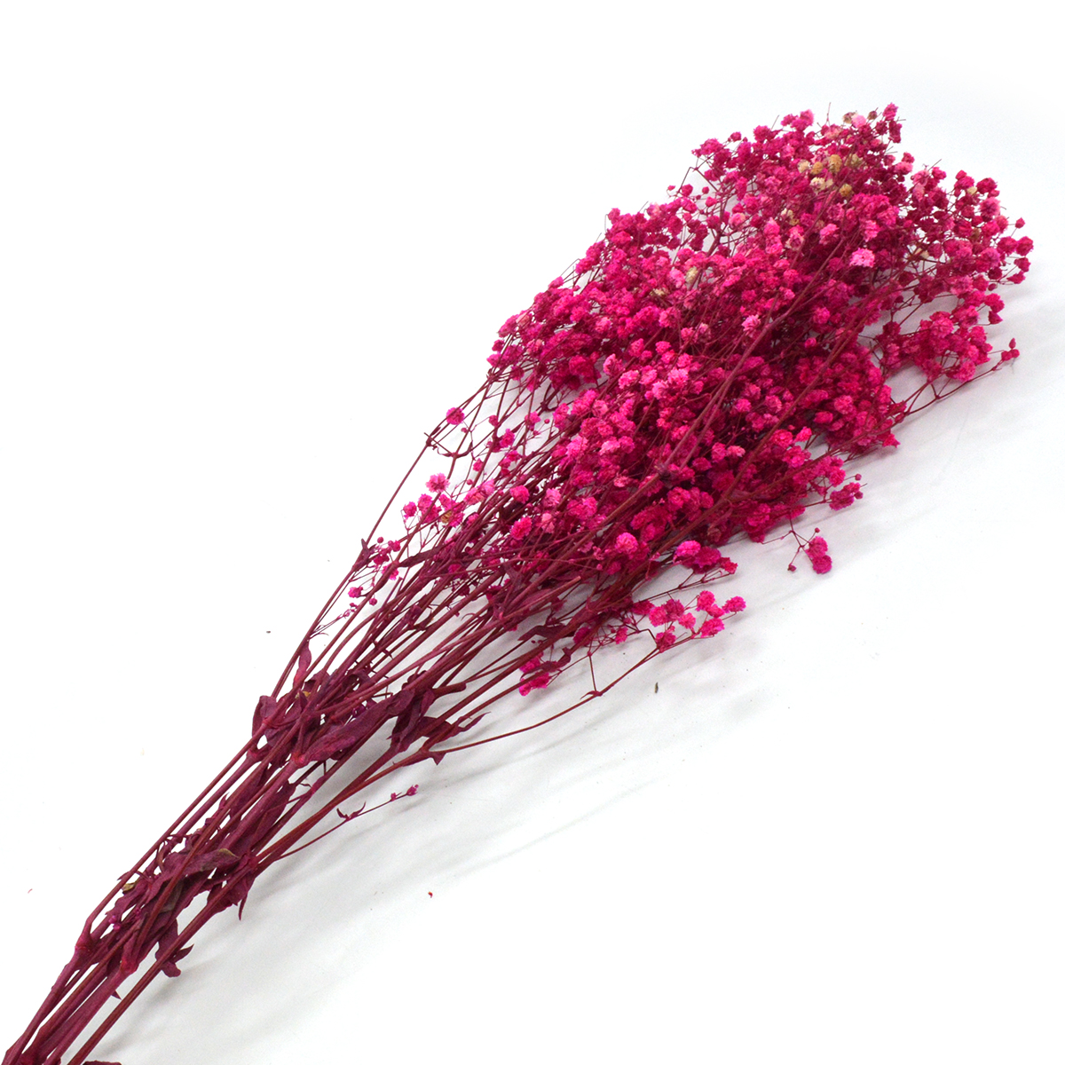 Buchet_gypsophila_natural_conservata_siclam_-_81-80_-_50